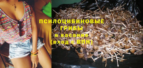 прущие грибы Кинешма