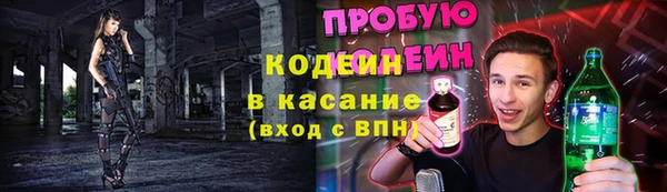 прущие грибы Кинешма