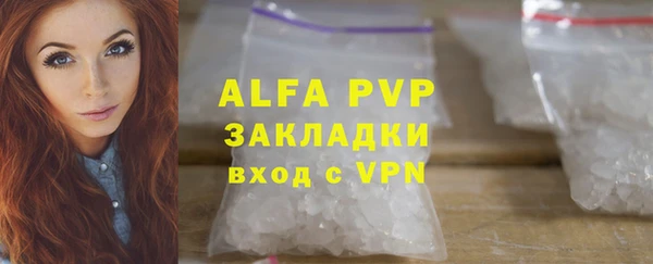 прущие грибы Кинешма