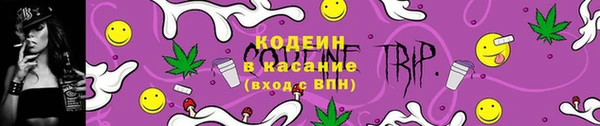 прущие грибы Кинешма