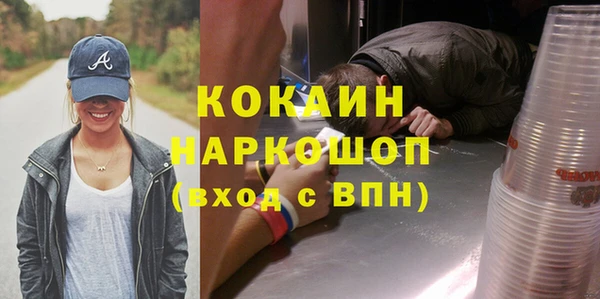 прущие грибы Кинешма